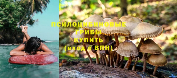 прущие крисы Каменск-Шахтинский