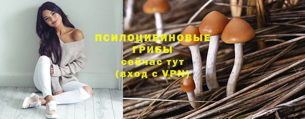 прущие крисы Каменск-Шахтинский